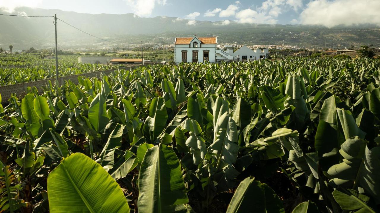 Hacienda Los Orovales Пуэрто-де-ла-Крус Экстерьер фото