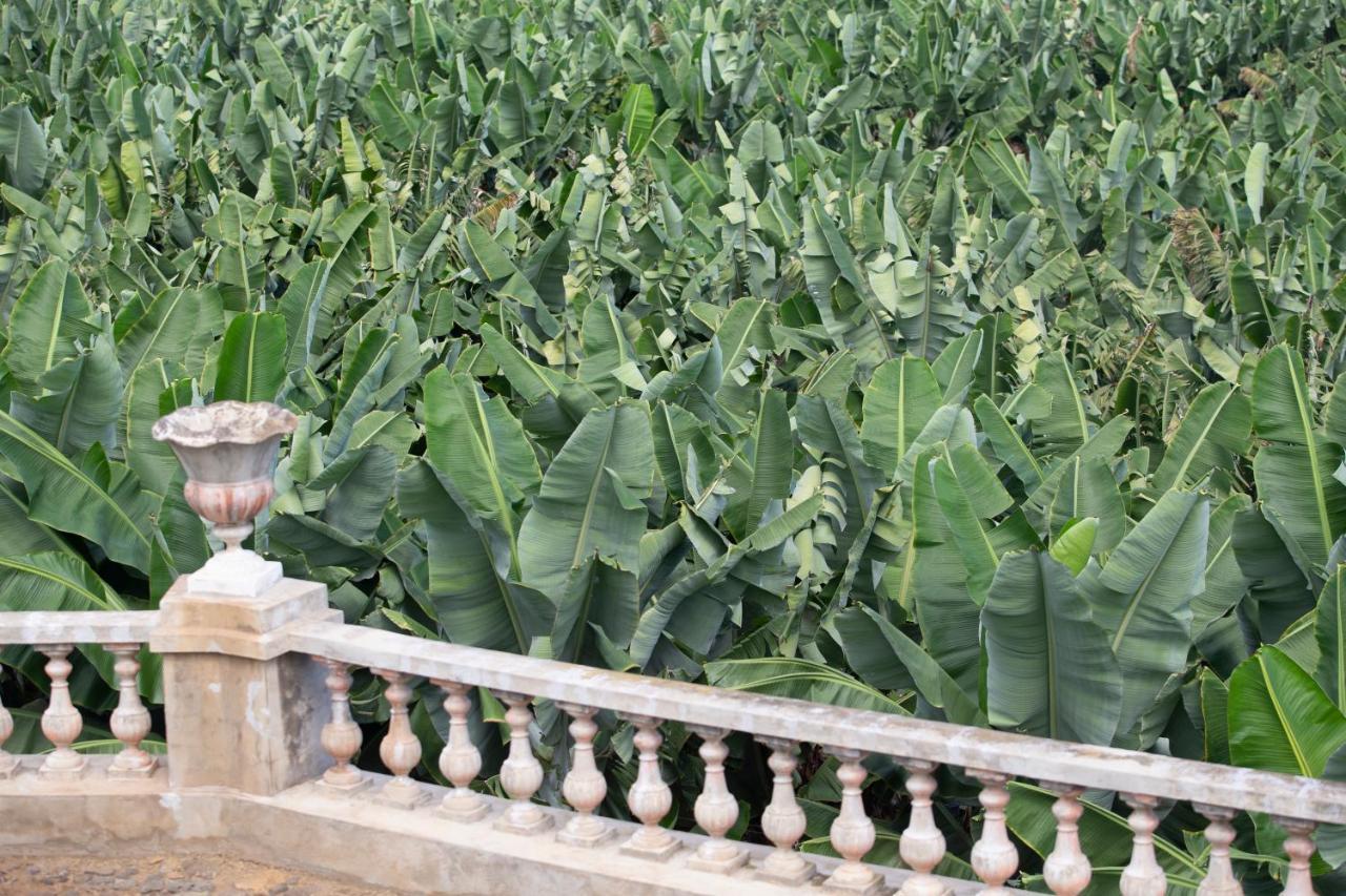 Hacienda Los Orovales Пуэрто-де-ла-Крус Экстерьер фото