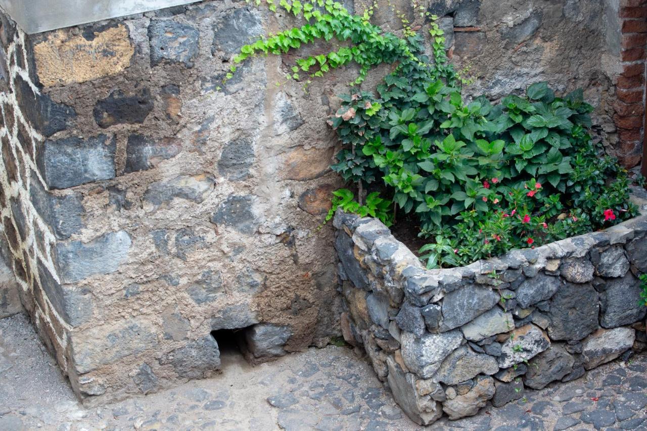 Hacienda Los Orovales Пуэрто-де-ла-Крус Экстерьер фото